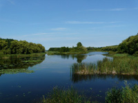 Dotto kisvonat Zalakaros kirándulás