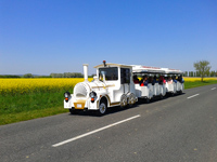 Dotto kisvonat Zalakaros kirándulás